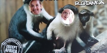 Dobrovolnictví může být tím nejlepším kořením života pro ty, kteří to potřebují