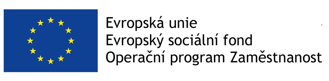 Budování kapacit a profesionalizace NAD
