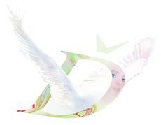 Vlasta Faiferlíková převzala hlavní cenu Ď za dobrovolnictví